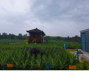 BUNDEL KITA PONTIAN 1 bundel kita pontian