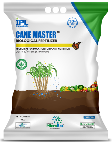 canemaster