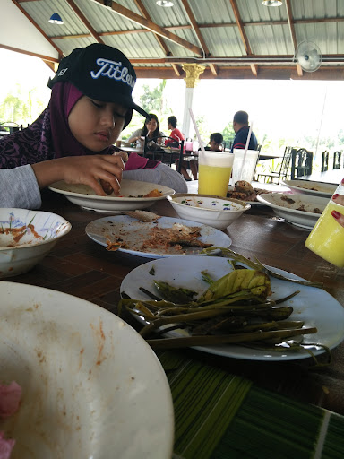 Bantal Kekabu Langkawi