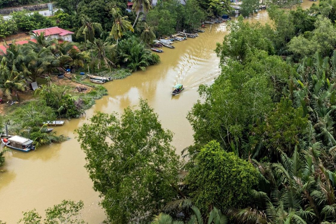 LAMYVA SUNGAI UDANG 1 lamyva sungai udang