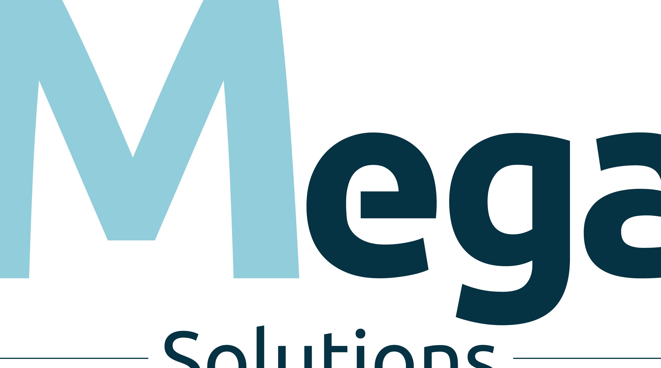 MEGA SOLUTION 1 mega solution
