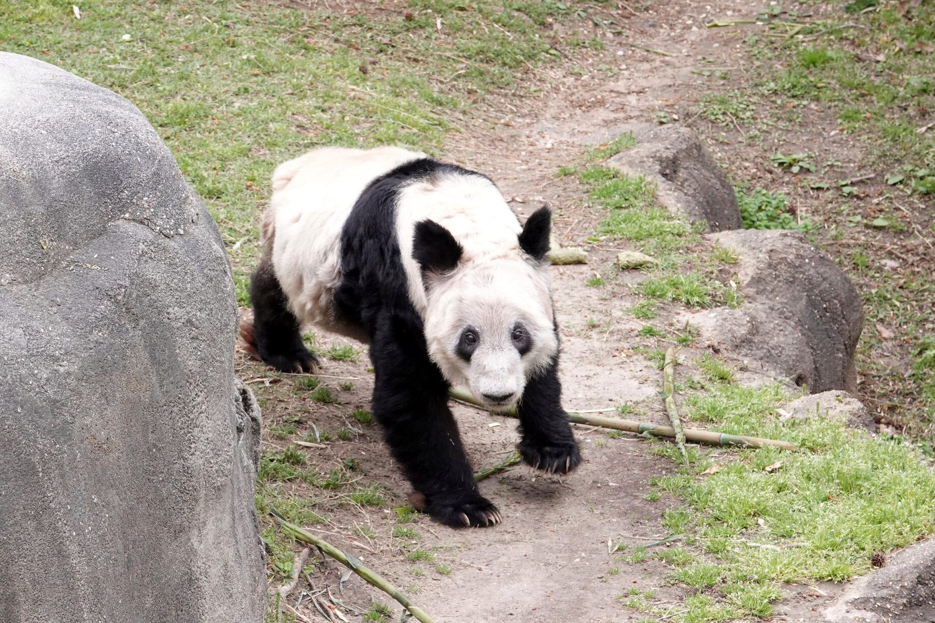 Pandamasjaya 1 pandamasjaya