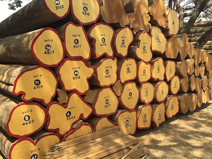 PK Timber Industry 1 pk timber industry